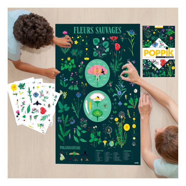 Poppik Discovery Sticker Poster - Botanic - Radish Loves