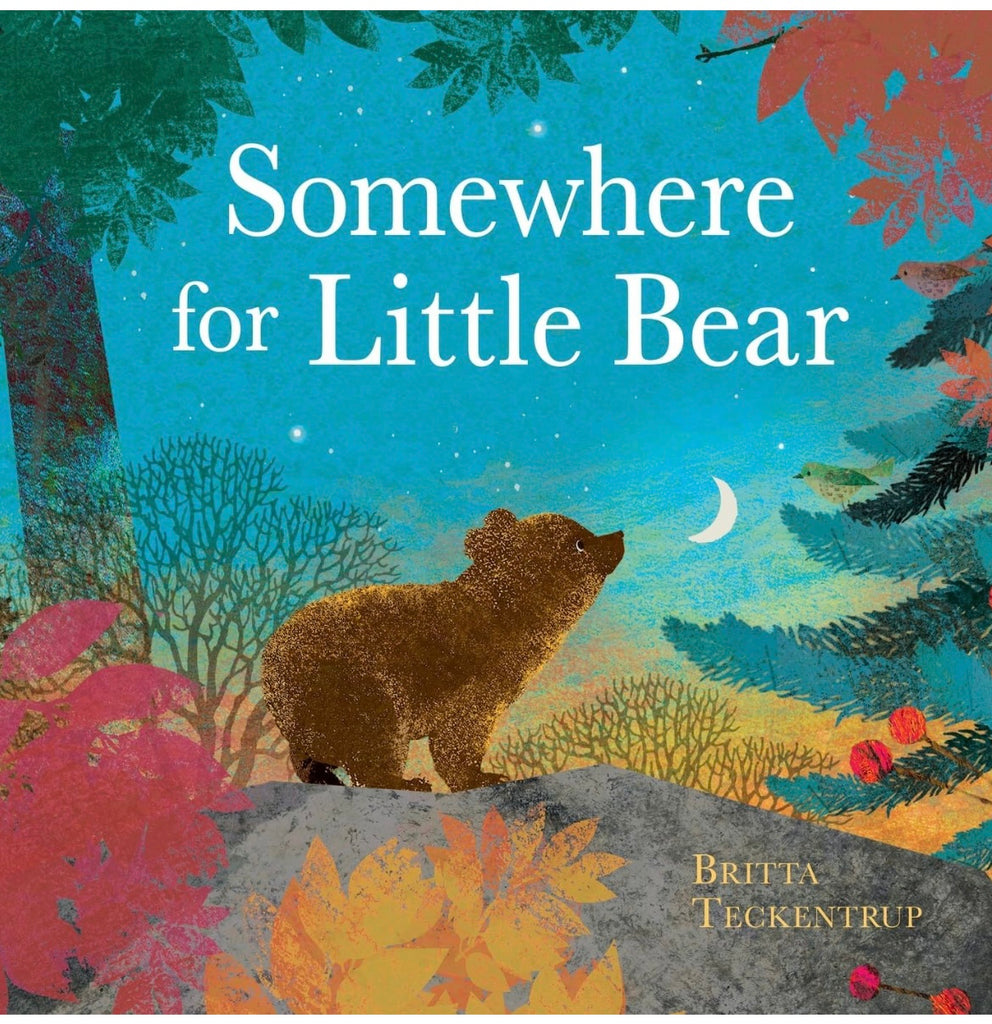 Somewhere For Little Bear