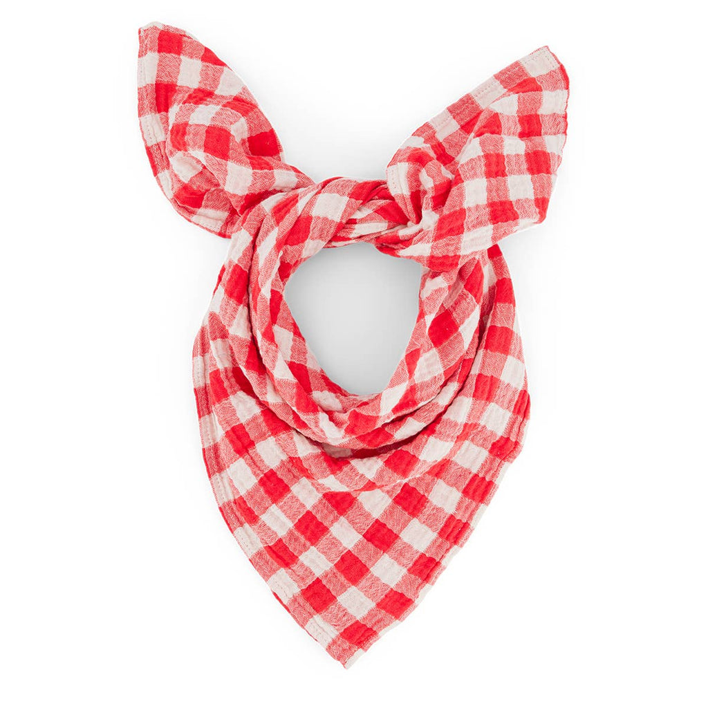 Rose in April - BIANCA SWADDLE VICHY TOMATO