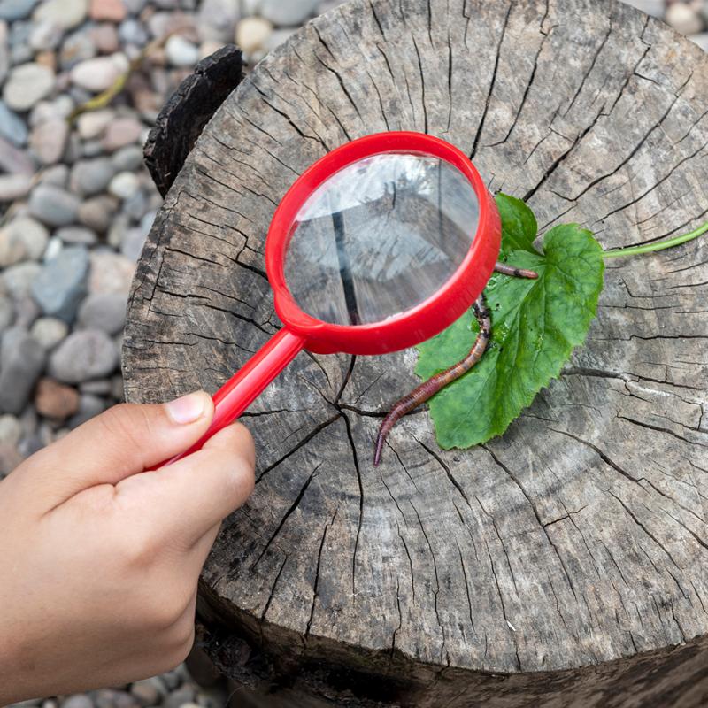 Rex London Magnifying Glass Wonders Of Nature