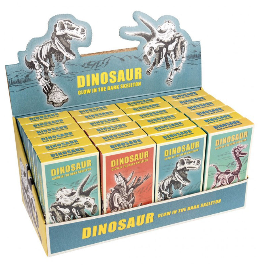 Rex London Assorted Dinosaur Skeleton Kit