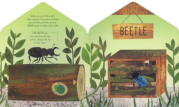 Bug Hotel Lift The Flap Discovery Book