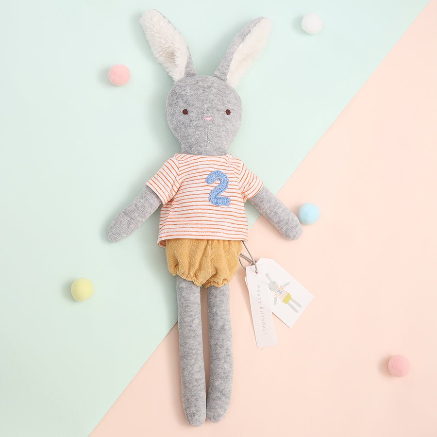 Albetta 2nd Birthday Bunny Toy - Radish Loves