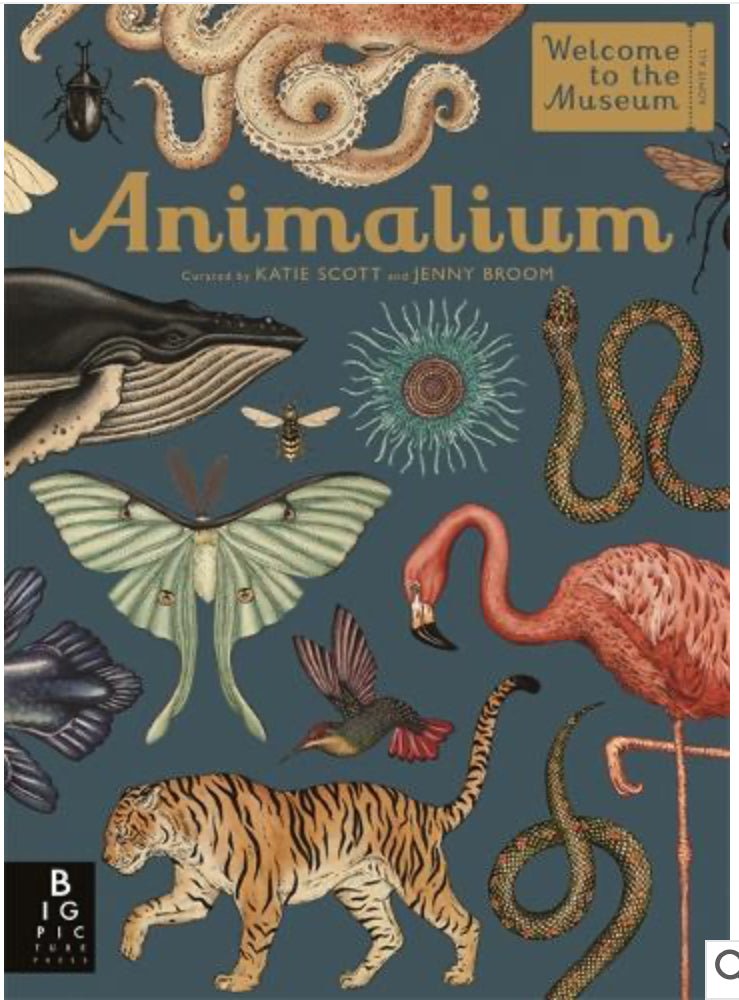 Animalium - Radish Loves