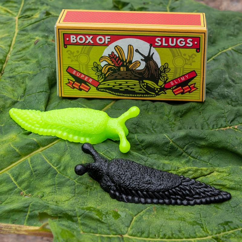 Rex London Box Of Slugs - Radish Loves