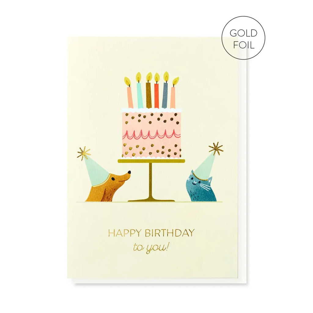 Stormy Knight Party Pets Birthday Card - Radish Loves