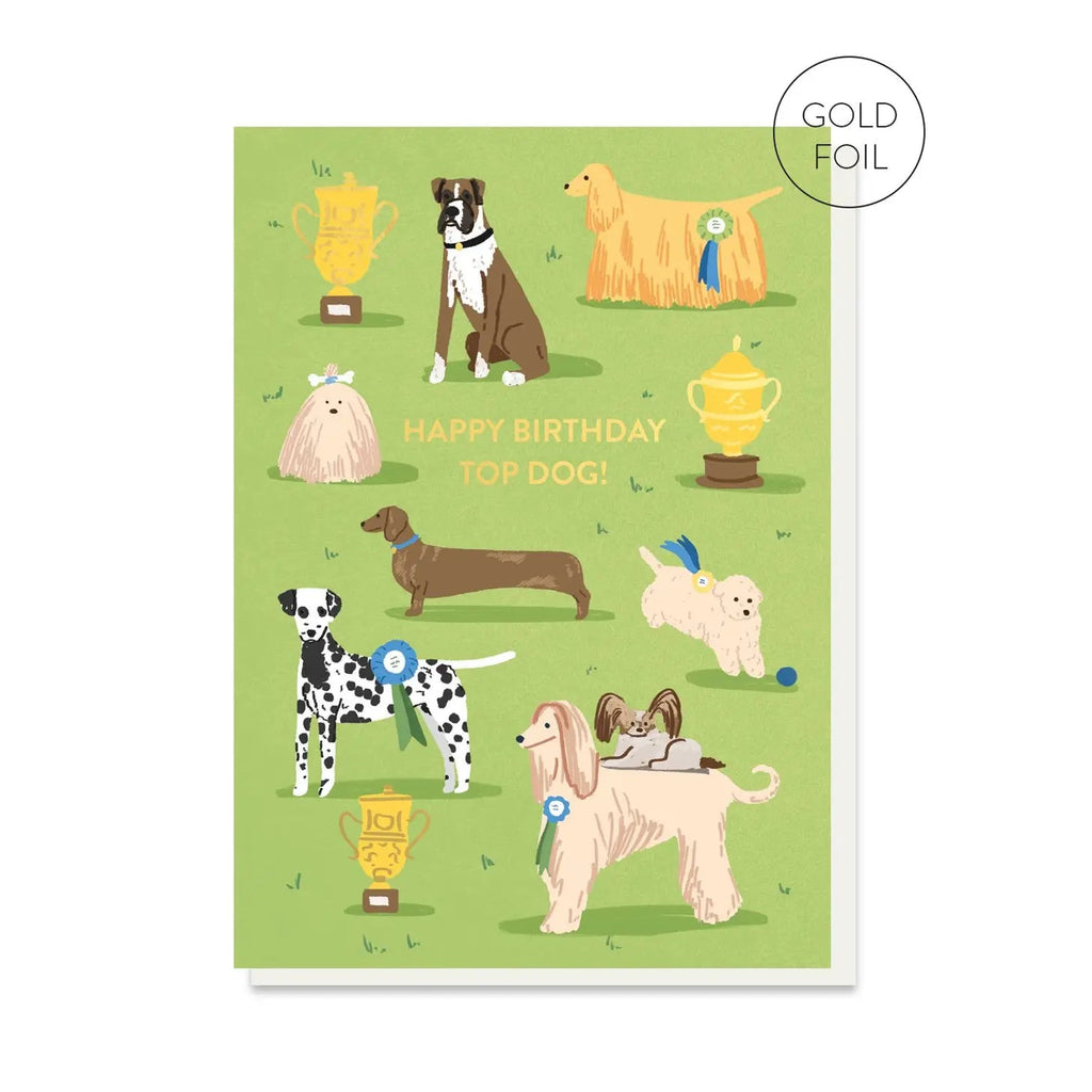 Stormy Knight Top Dog Birthday Card - Radish Loves